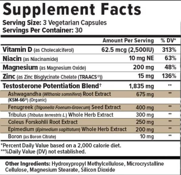 Inno Supps T-Drive Ingredients